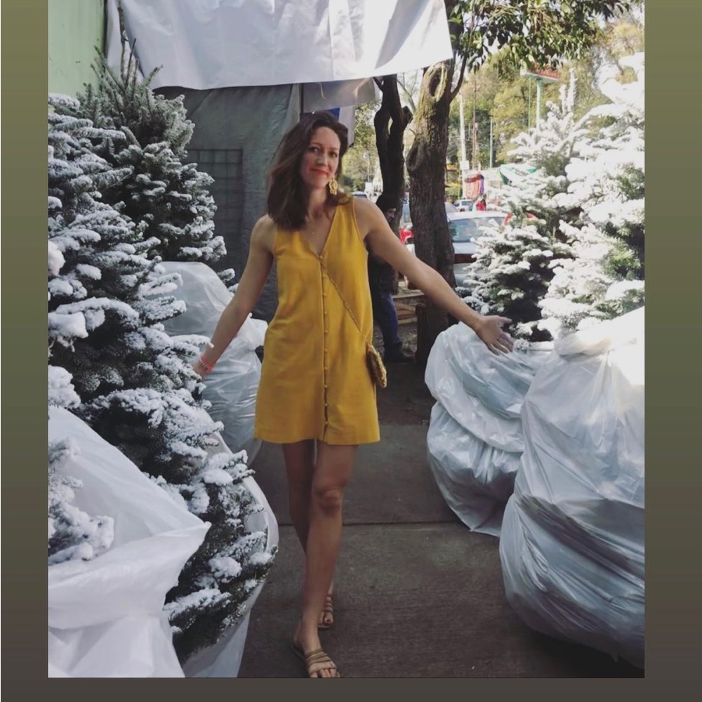 Madewell dress